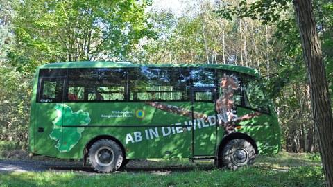 Safaribus der NSG