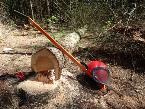 Probennahme in Thüringen