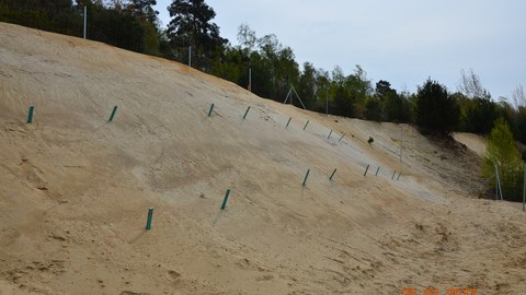 Versuchsfläche in Großräschen