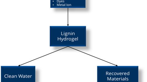 Bild zum Thema des Seminars, Reinigung von Wasser durch Ligninhydrogele                                                                              