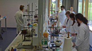 Studierende bei der Arbeit im Praktikum