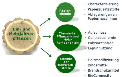 Übersicht zu den Forschungsthemen