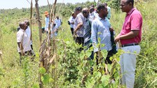 Alumni-Network-Project-Uganda