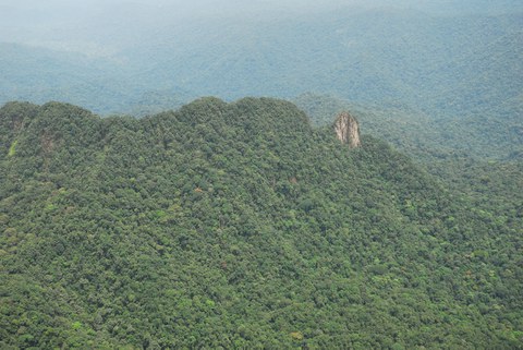 Bakossi National