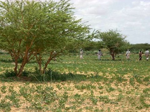 tarigagro