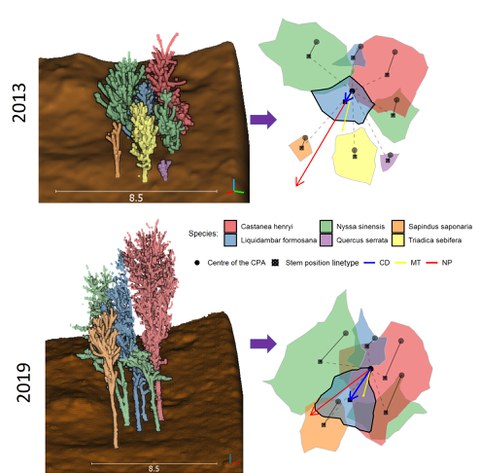 Compare of the crowns in the Years of 2013 and 2019