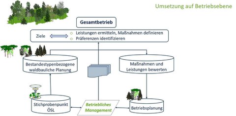 Managementkonzept für die Umsetzung einer ÖSL-orientierten Bewirtschaftung. Die Umsetzung auf Betriebsebene wird durch ein Flussdiagramm dargestellt.