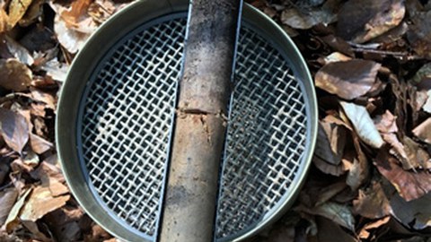 Auf dem Waldboden inmitten von Laub liegt ein Erdsieb, darauf ist eine Erdbohrer mit einer Bodenprobe abgebildet