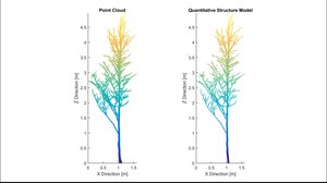 The figure shows a single tree on the right as a point cloud and on the left the same single tree as a QMS model.