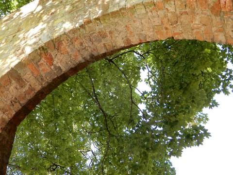 archway with tree canopy 