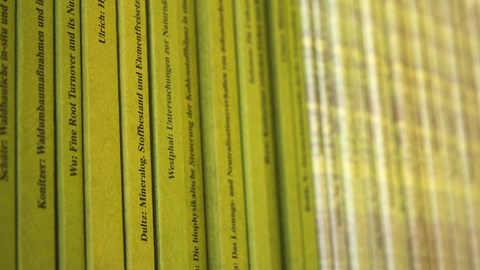 Bücherreihe_grün