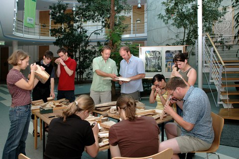 Masterstudiengang Holztechnologie und Holzwirtschaft