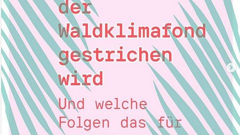 Wegfall des Waldklimafonds 