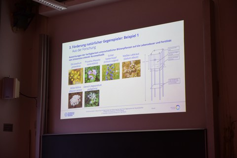 Focus of the second day: close-to-nature regulation of pest organisms