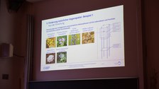 Focus of the second day: close-to-nature regulation of pest organisms