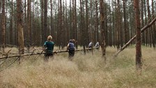 Teambildende Maßnahmen der Waldwegeberäumung