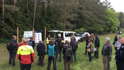 Präsentation des Verbundvorhabens THOR im Klosterforstrevier Miele