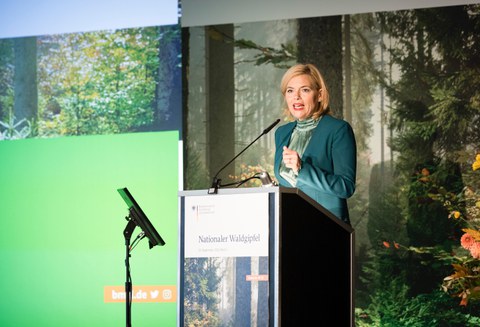 Waldgipfel 2019