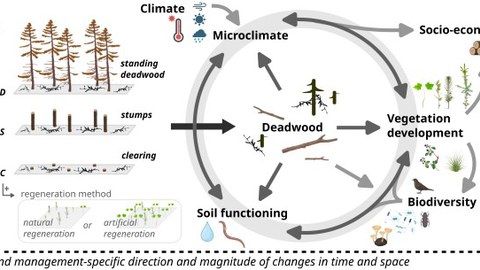Ecological Response Framework