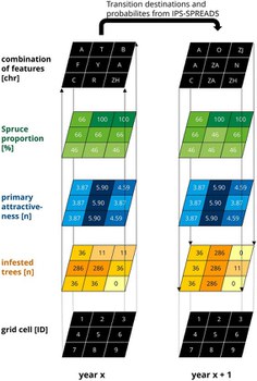Scheme of the developed metamodel