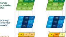 Scheme of the developed metamodel
