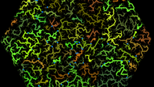 Roots2 model world snapshot
