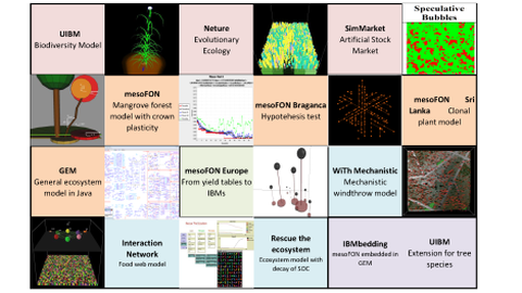 Models developed by Uwe Grueters at a glance