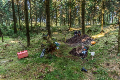 Feldarbeit bei Schellerhau
