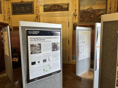Poster Potarch Prague