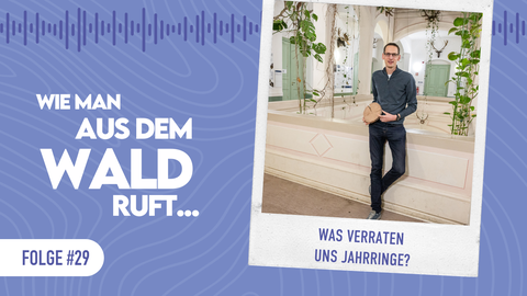 Podcast Forst erklärt