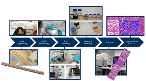 Workflow for thin-sectioning