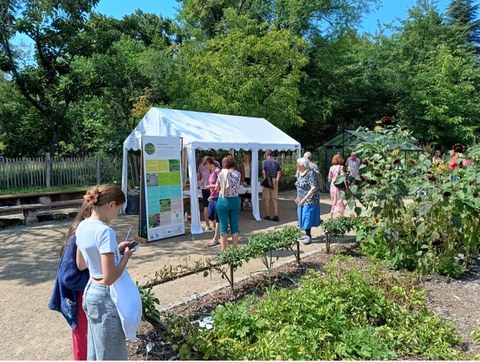 Sommerfest im Botanischen Garten in Dresden 2025