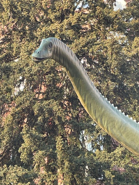 Senckenberg