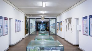 Das Institut für Kartographie.