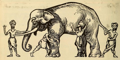 Die blinden Männer und der Elefant