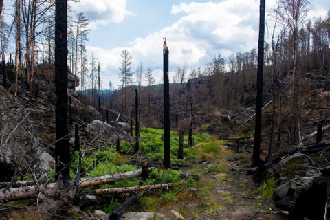 Recovery meeting image 1