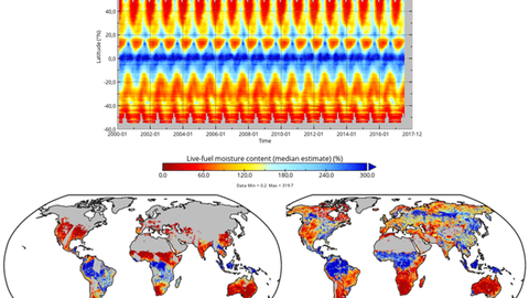 Global leaf moisture content