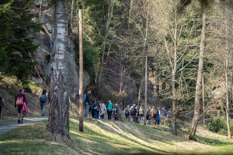 Exkursion zum Landschaftswandel in der Sächsischen-Böhmischen Schweiz