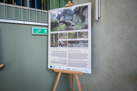 Teil der Wanderausstellung "Museum im Grünen"
