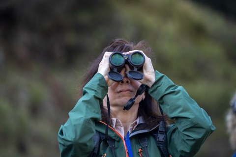 Exkursion zum Landschaftswandel in der Sächsisch-Böhmischen Schweiz