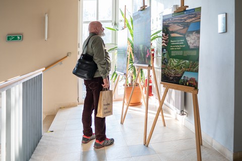 Wanderausstellung "Museum im Grünen"