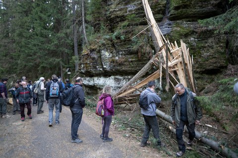 Exkursion zum Landschaftswandel in der Sächsisch-Böhmischen Schweiz