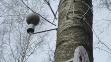 Projekt 3D Wald