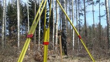 Projekt 3D Wald