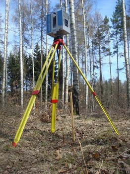 Projekt 3D Wald