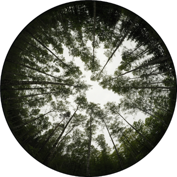 Projekt 3D Wald
