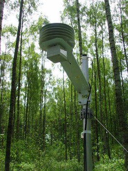 Projekt 3D Wald