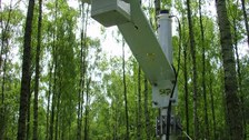 Projekt 3D Wald