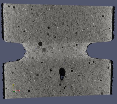 Querschnitt_Probe_Referenz