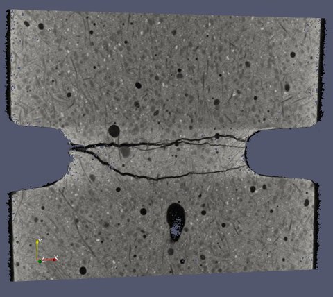 Querschnitt_Probe_Deformiert